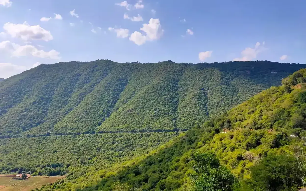 Pachaimalai Hills - view 2