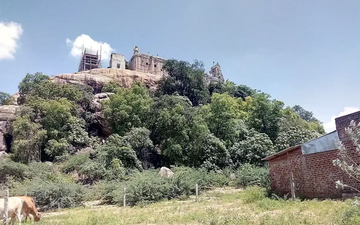 Viralimalai Murugan Temple - view 2